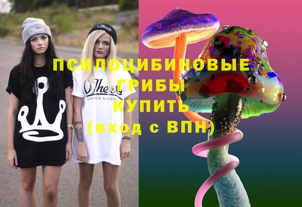 spice Надым