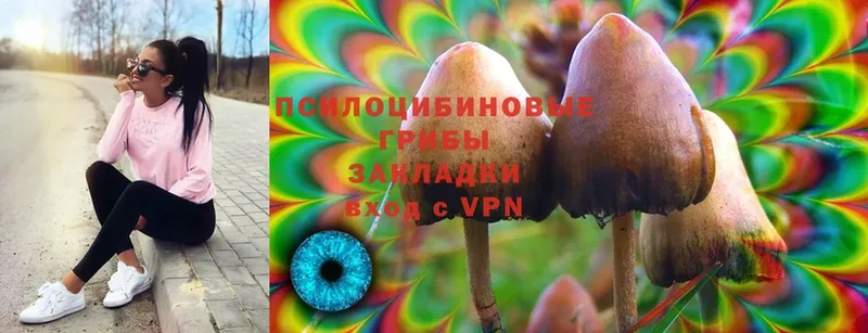 Псилоцибиновые грибы Cubensis  что такое наркотик  Рославль 